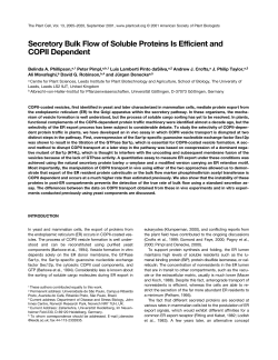 Secretory Bulk Flow of Soluble Proteins Is Efficient and