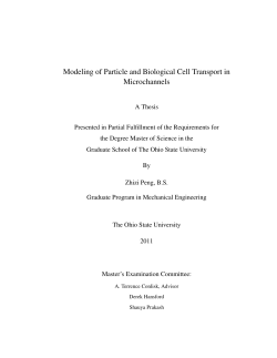 Modeling of Particle and Biological Cell Transport
