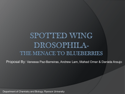 hanging the colour pigmentation in bluberries to increase berry crop