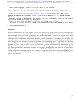 Domino-Like Propagation Of Collective U-Turns In Fish