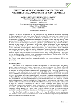 effect of nutrients deficiencies on root architecture and