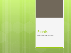 Plants - AISG SP Moodle