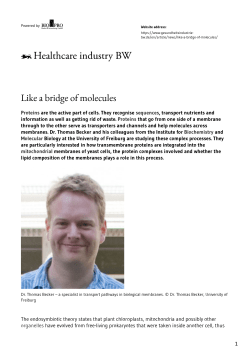 Like a bridge of molecules