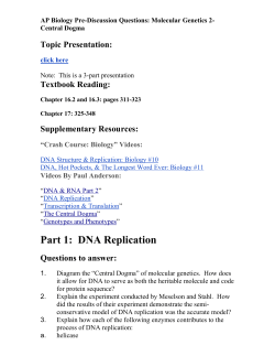 Part 1: DNA Replication Questions to answer