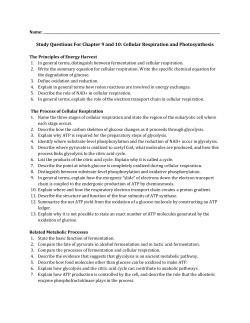 Click Here For The Study Questions