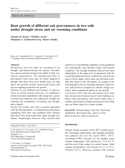 Root growth of different oak provenances in two soils under drought