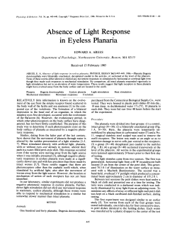 Absence of light response in eyeless planaria