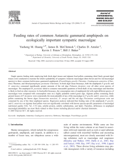 Feeding rates of common Antarctic gammarid amphipods on