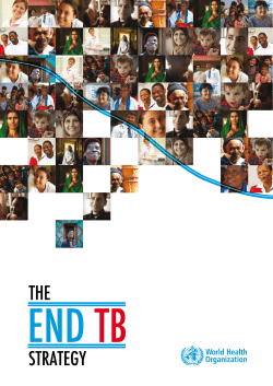 End TB Strategy - World Health Organization