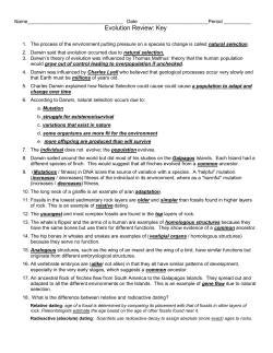 Evolution Reviewsheet 2013 key