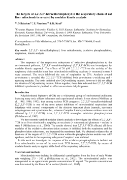 tetrachlorobiphenyl in the respiratory chain of rat liver mitochondria