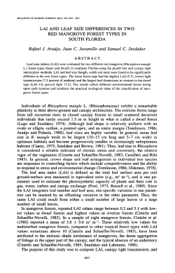 Lai and Leaf Size Differences in Two Red