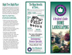 home landscaping - City of Chanhassen