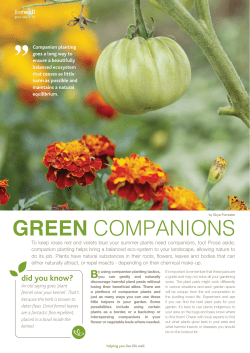 green companions - Starke Ayres Garden Centre
