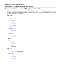 Bio 102 Practice Problems Mendelian Genetics: Beyond Pea Plants