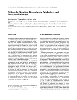 Gibberellin Signaling: Biosynthesis, Catabolism, and Response