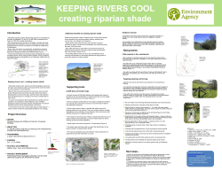 Introduction Project Overview Supporting tools Taking Action Next