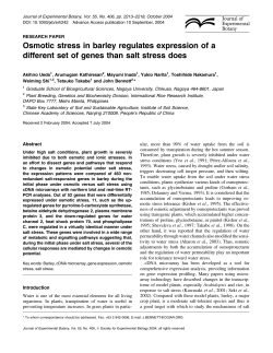 Osmotic stress in barley regulates expression of a different set of