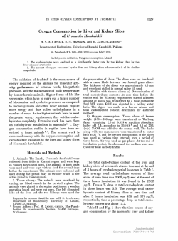 Oxygen Consumption by Liver and Kidney Slices
