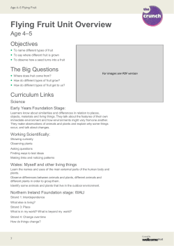 Flying Fruit &ndash; Lesson 1 How Fruits Grow