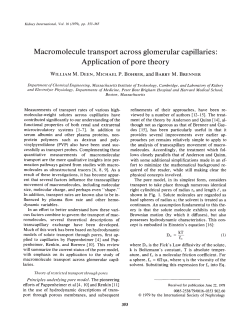 Macromolecule transport across glomerular capillaries: Application