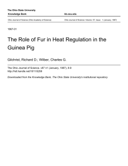 The Role of Fur in Heat Regulation in the Guinea