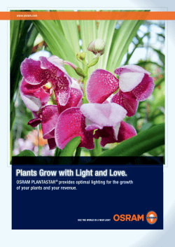 Plants Grow with Light and Love.