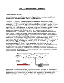 full research description