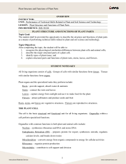Plant Structure and Functions of Plant Parts oVERVIEW