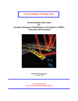 Grand Challenge Workshop Series Nanotechnology Innovation for