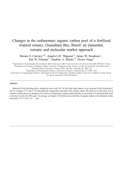 Changes in the sedimentary organic carbon pool of a - PUC-Rio