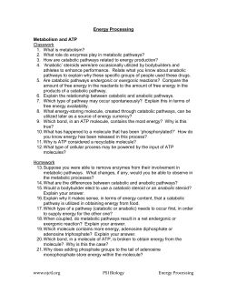 Energy Processing Metabolism and ATP Classwork What is