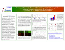 Monitoring of Mitochondrial Membrane Potential
