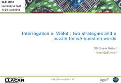 Interrogation in Wolof : two strategies and a puzzle for wh