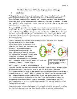 The effects of increased net reactive oxygen