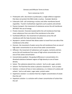 Osmosis and Diffusion Terms to Know Test is tomorrow 11/11