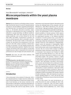 Microcompartments within the yeast plasma membrane