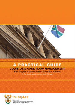 Practical Guide to Court and Case Flow