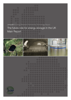 The future role for energy storage in the UK Main Report