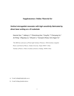 Supplementary Online Material for