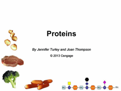 protein - HCC Learning Web