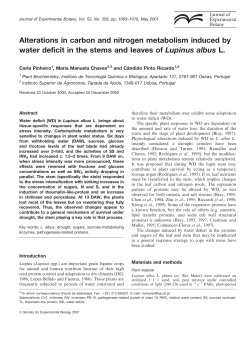 Alterations in carbon and nitrogen metabolism induced by water
