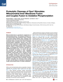 Proteolytic Cleavage of Opa1 Stimulates Mitochondrial Inner
