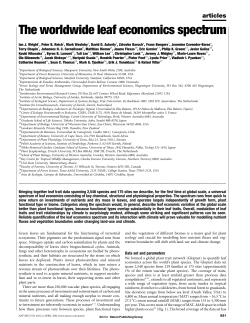 The worldwide leaf economics spectrum