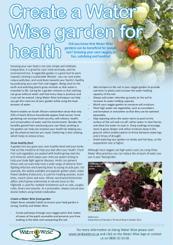 Create a Water Wise Garden for Health