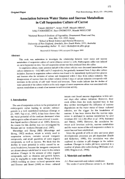 Association between Water Status and Sucrose Metabolism