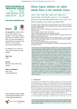 African tropical rainforest net carbon dioxide fluxes in the twentieth