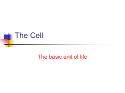 The Cell - Cobb Learning