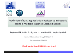 Prediction of Ionizing Radiation Resistance in Bacteria Using a