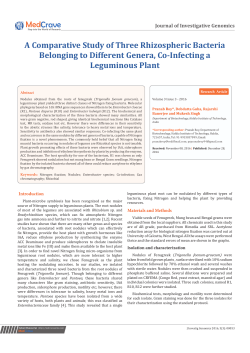 A Comparative Study of Three Rhizospheric Bacteria